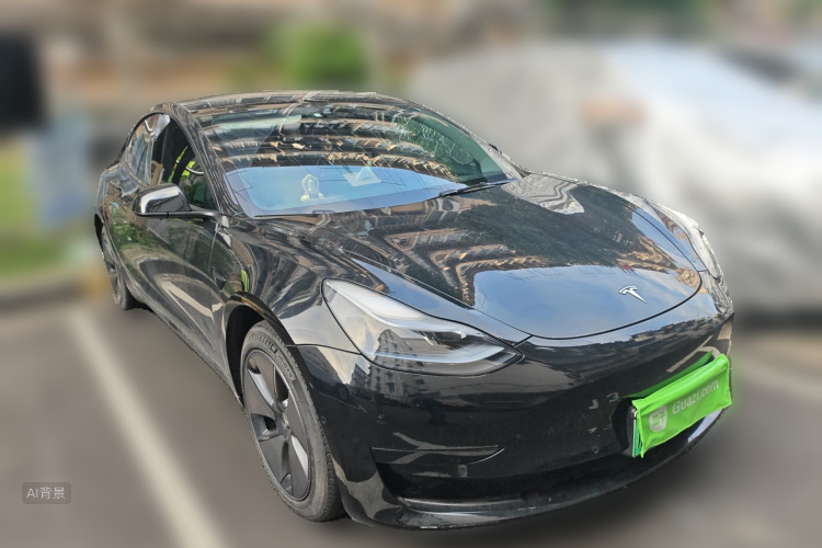 Tesla Model 3 2023 car image #4