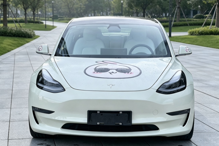 Tesla Model 3 2020 #3 Tesla Model 3 2020 car image #3