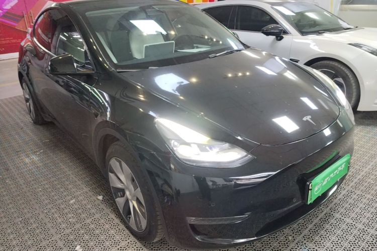 Tesla Model Y 2021 car image #4