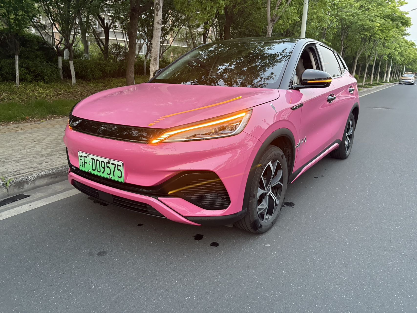 BYD Yuan Plus 2025 car image 