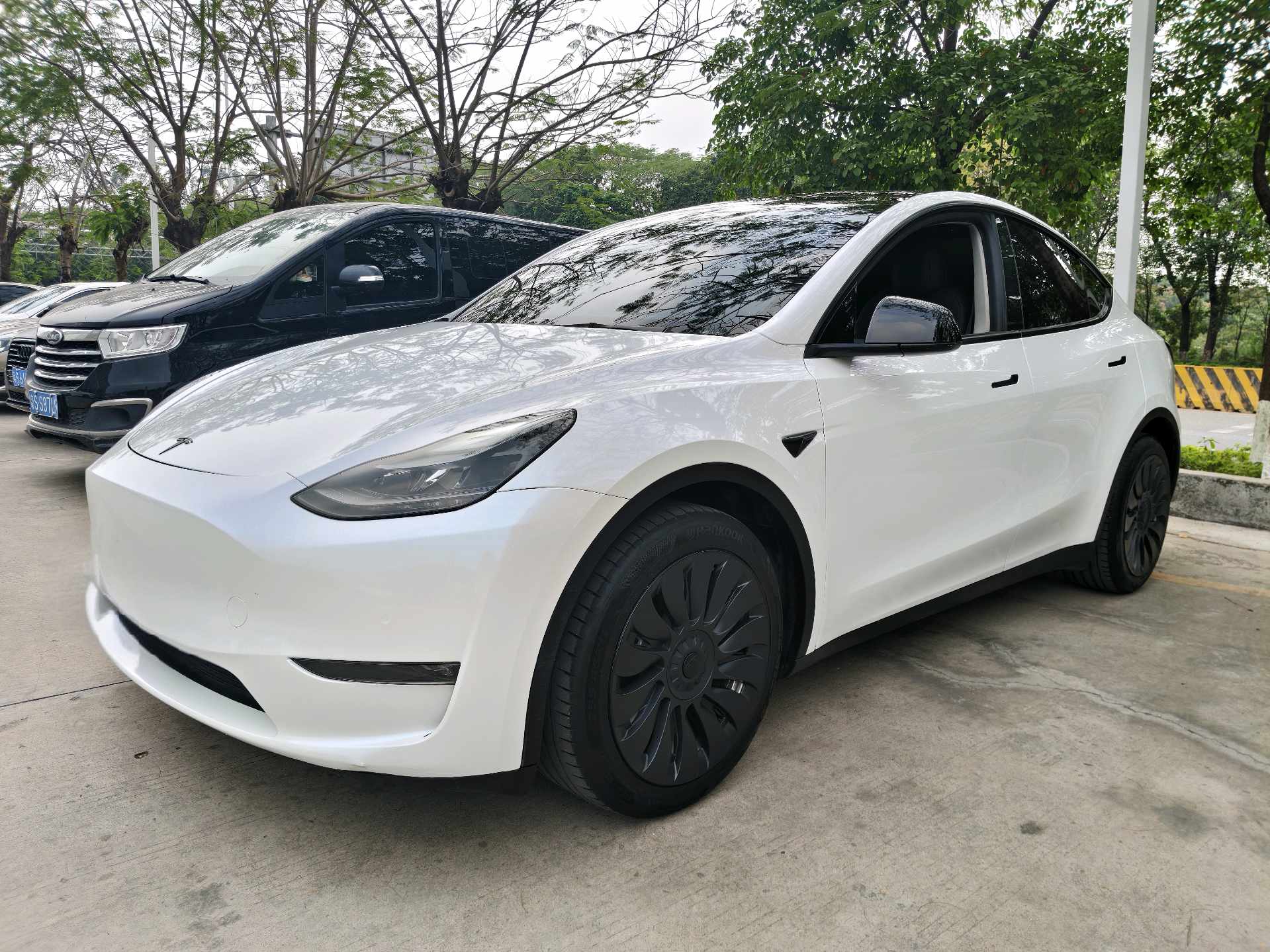 Tesla Model Y 2023 Tesla Model Y 2023 car image