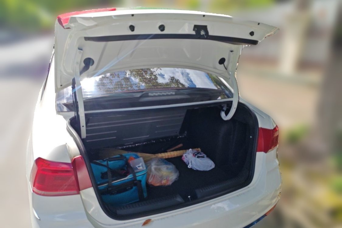Volkswagen Santana 2019 car image #8