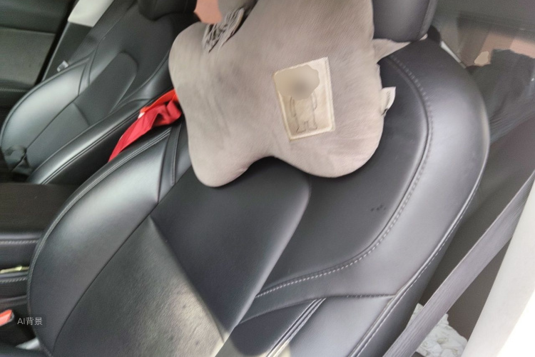Tesla Model 3 2022 car image #17