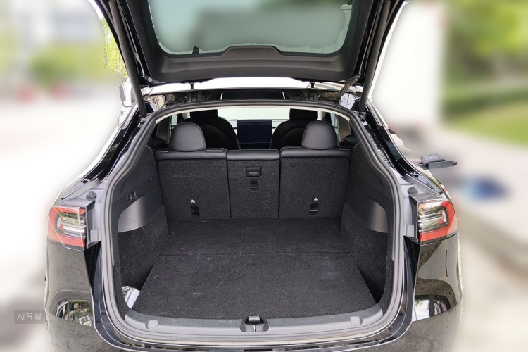 Tesla Model Y 2021 car image #21