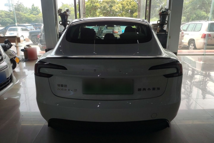 Tesla Model 3 2023 car image #6