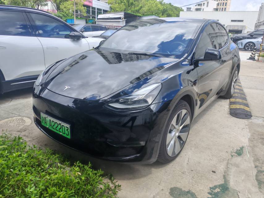Tesla Model Y 2021 Tesla Model Y 2021 car image