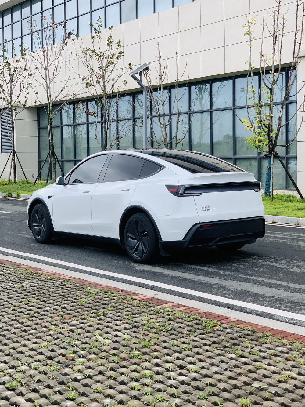 Tesla Model Y 2026 #15 Tesla Model Y 2026 car image #15