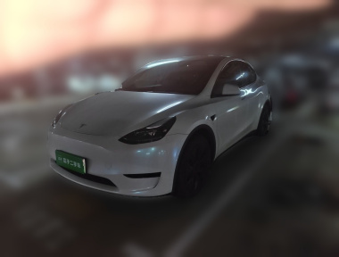 Tesla Model Y 2023 Tesla Model Y 2023 car image