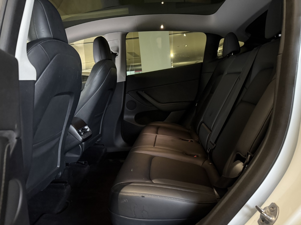 Tesla Model Y 2021 car image #4