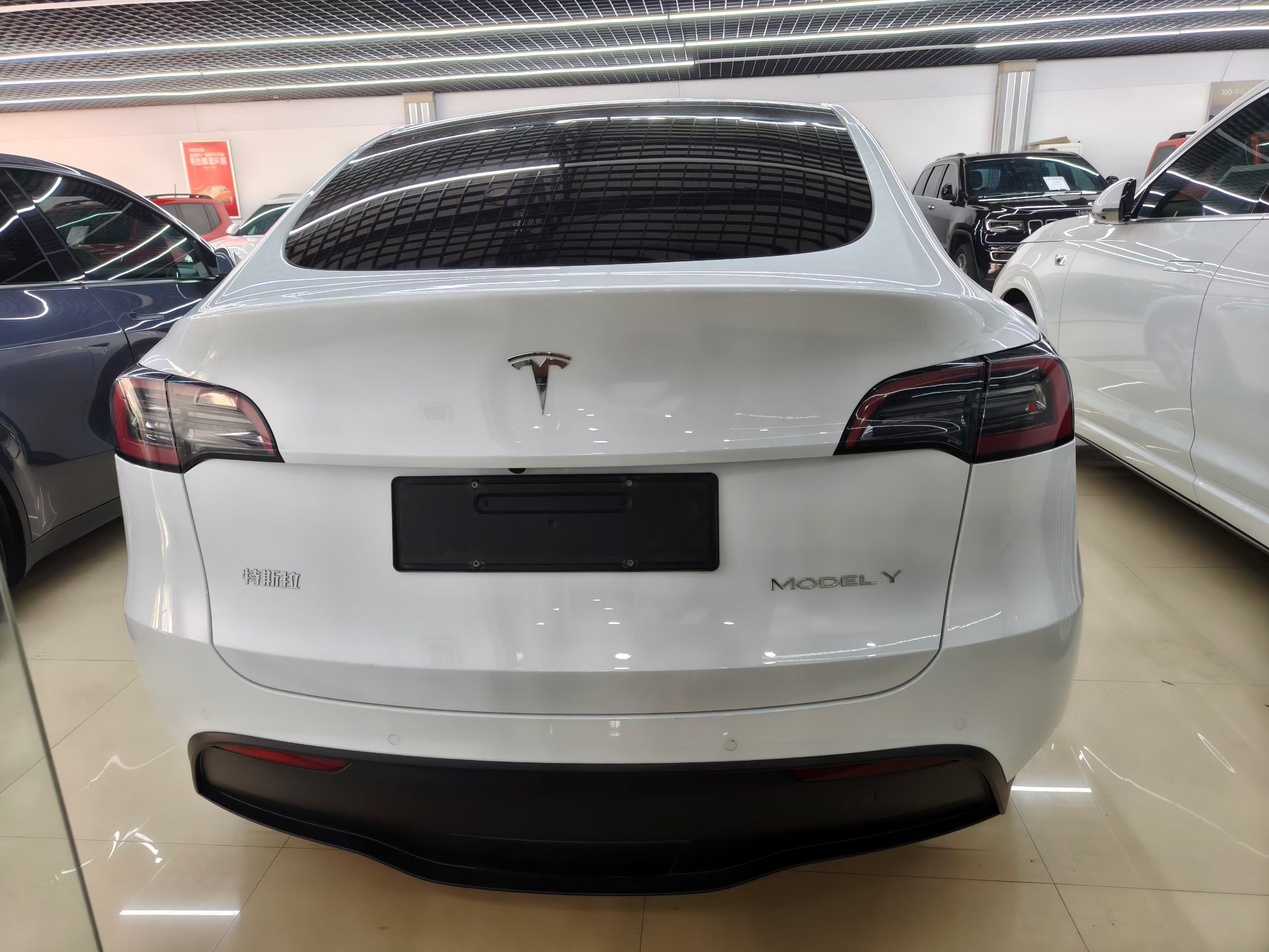 Tesla Model Y 2023 #7 Tesla Model Y 2023 car image #7