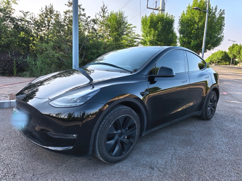 Tesla Model Y 2023 Tesla Model Y 2023 car image