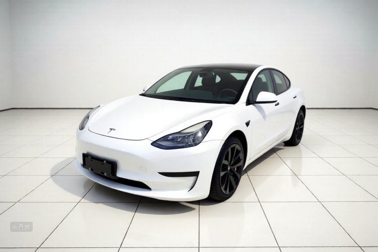 Tesla Model 3 2021 #2 Tesla Model 3 2021 car image #2