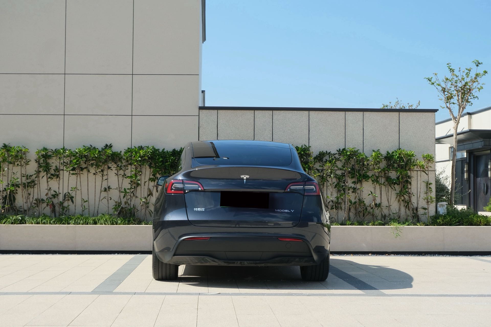 Tesla Model Y 2025 car image #5