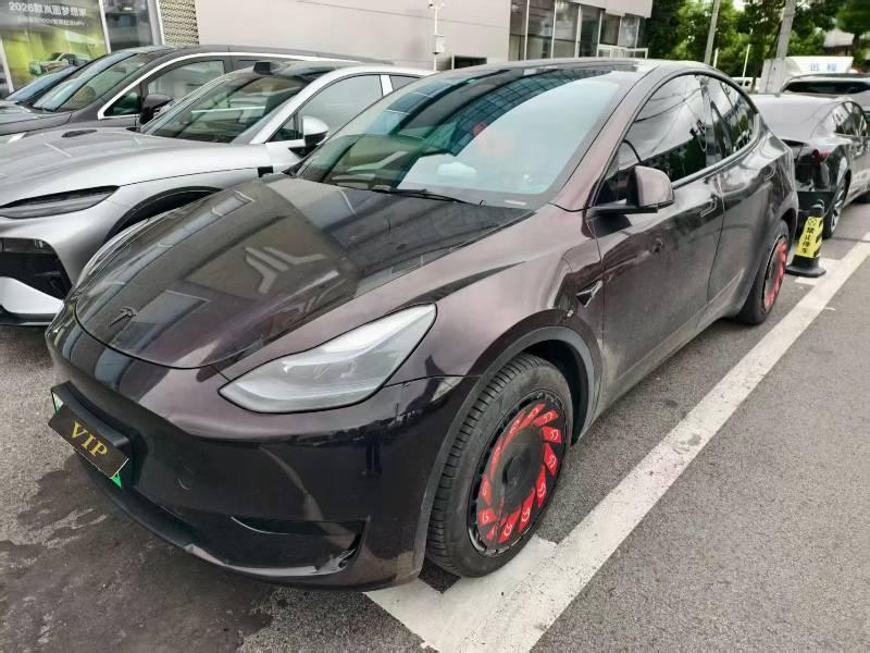 Tesla Model Y 2023 Tesla Model Y 2023 car image