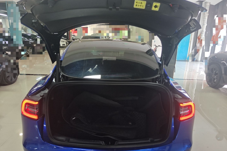 Tesla Model 3 2021 #21 Tesla Model 3 2021 car image #21