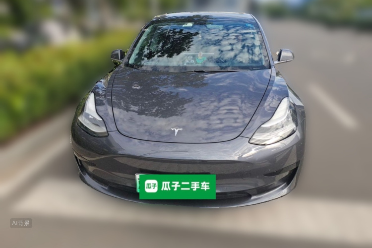 Tesla Model 3 2020 #3 Tesla Model 3 2020 car image #3