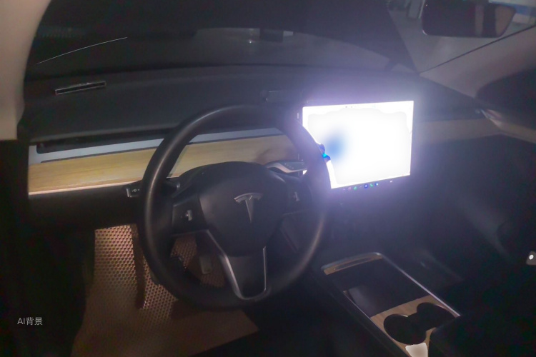 Tesla Model Y 2021 car image #11