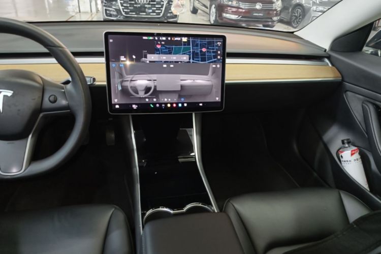 Tesla Model 3 2020 immagine di auto #13