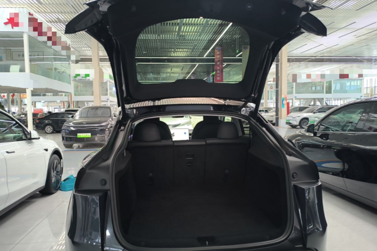 Tesla Model Y 2025 car image #21