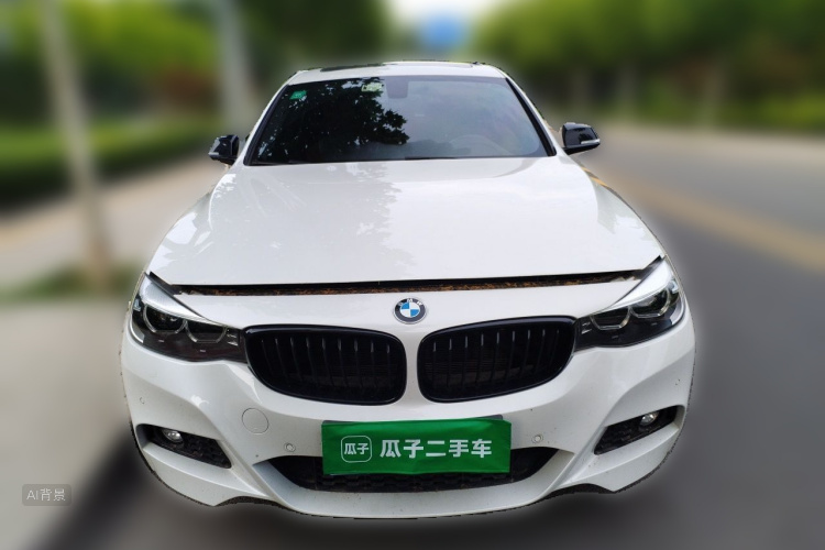 BMW 3 Series GT 2019 car image #3
