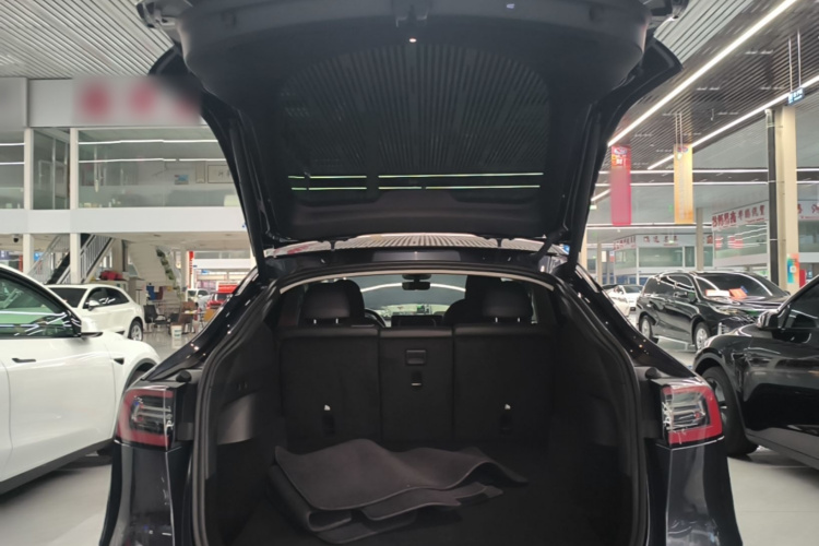 Tesla Model Y 2024 #19 Tesla Model Y 2024 car image #19