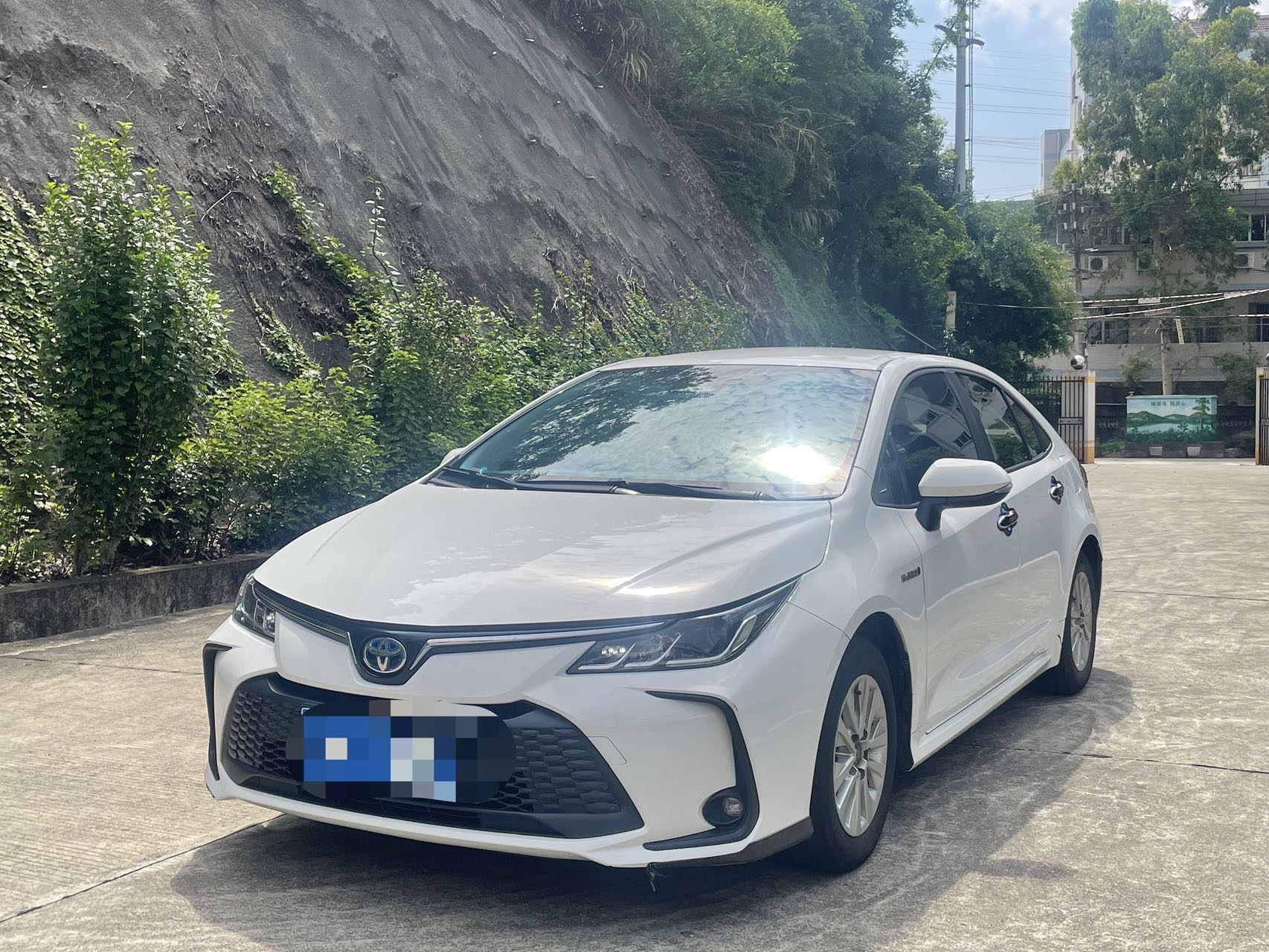 Toyota Corolla 2024 Toyota Corolla 2024 car image