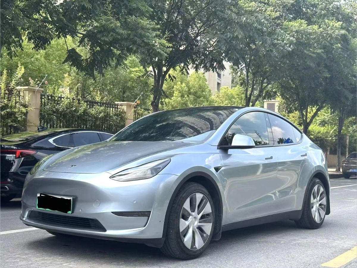 Tesla Model Y 2022 Tesla Model Y 2022 car image