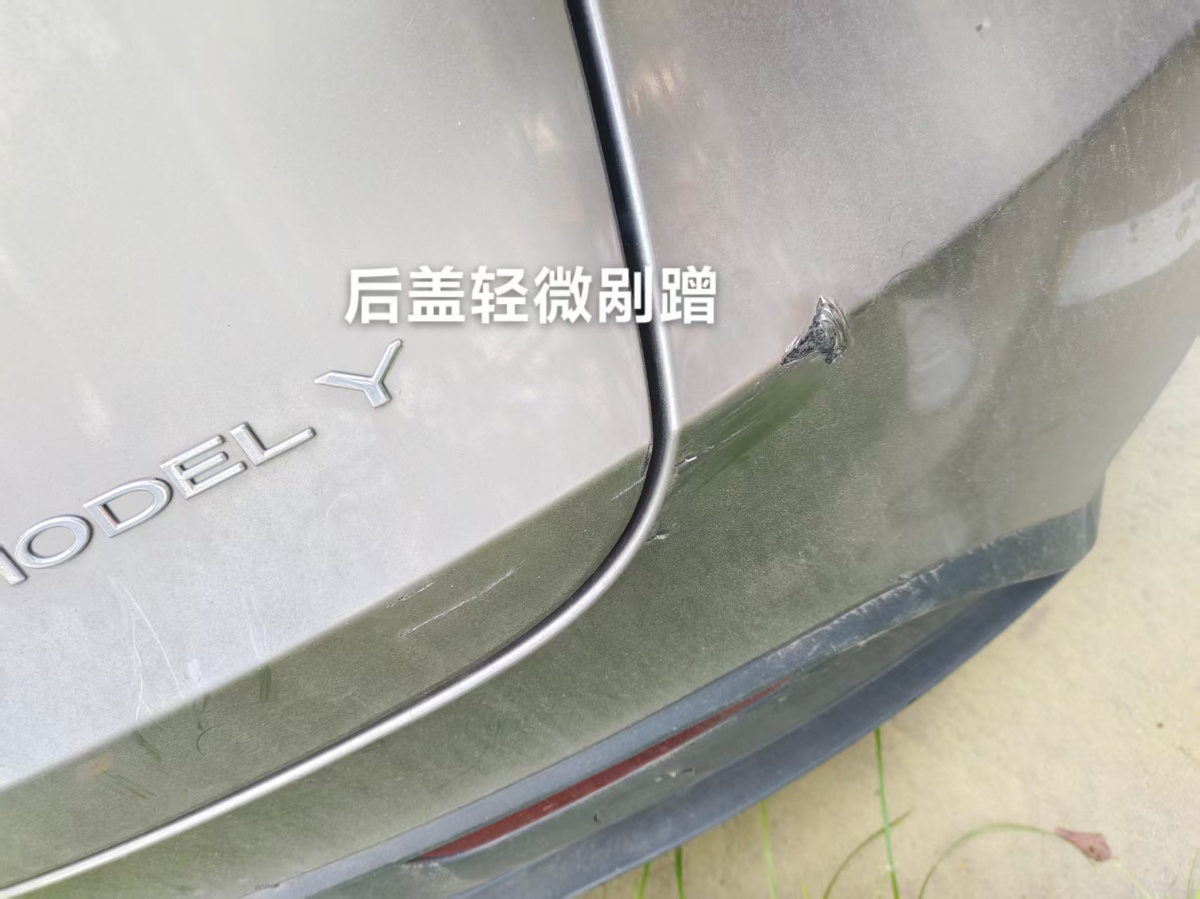 Tesla Model Y 2023 car image #10