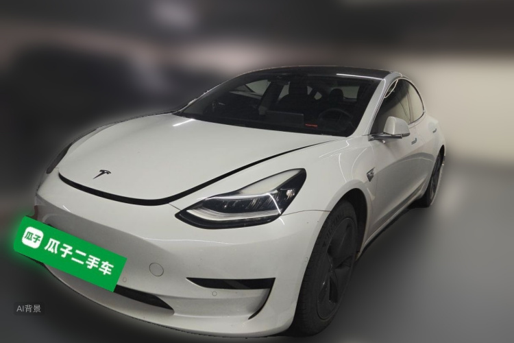 Tesla Model 3 2020 car image #2