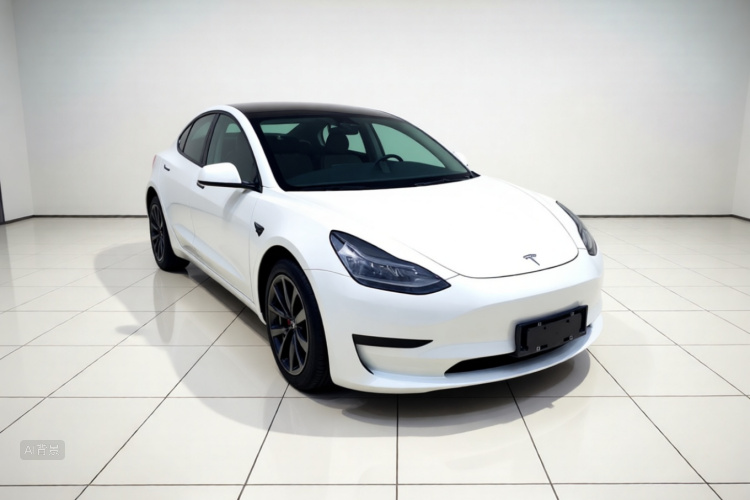 Tesla Model 3 2021 #4 Tesla Model 3 2021 car image #4