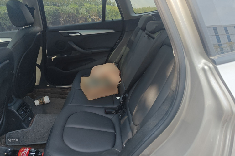 BMW X1 2017 imagem de carro #19