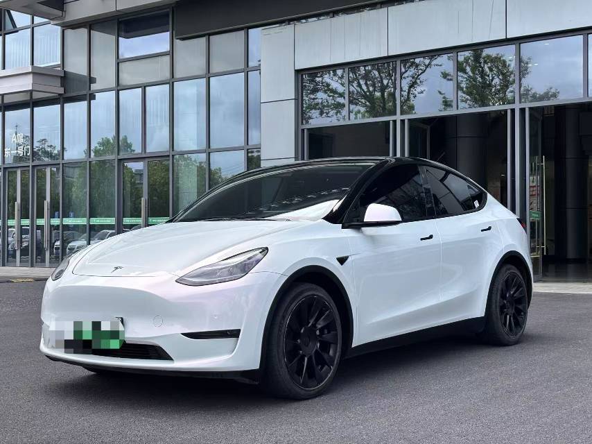 Tesla Model Y 2021 Tesla Model Y 2021 car image