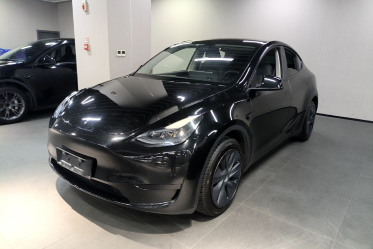 Tesla Model Y 2024 #2 Tesla Model Y 2024 car image #2