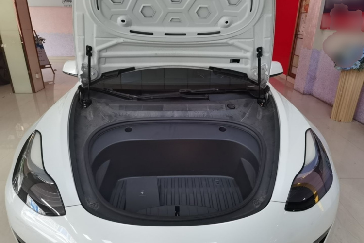 Tesla Model 3 2022 #20 Tesla Model 3 2022 immagine di auto #20
