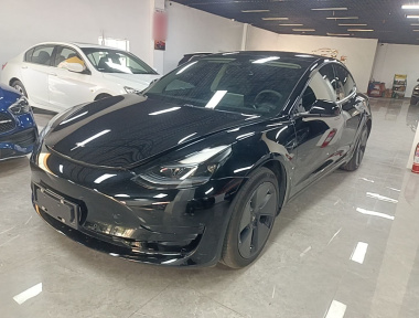 Tesla Model 3 2023 Tesla Model 3 2023 car image