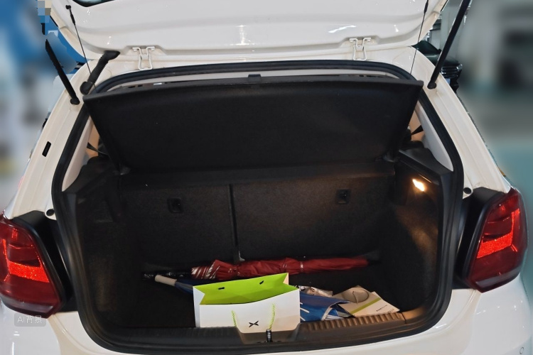 Volkswagen Polo 2016 car image #21