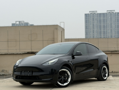 Tesla Model Y 2023 car image 