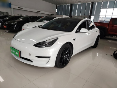 Tesla Model 3 2023 car image 
