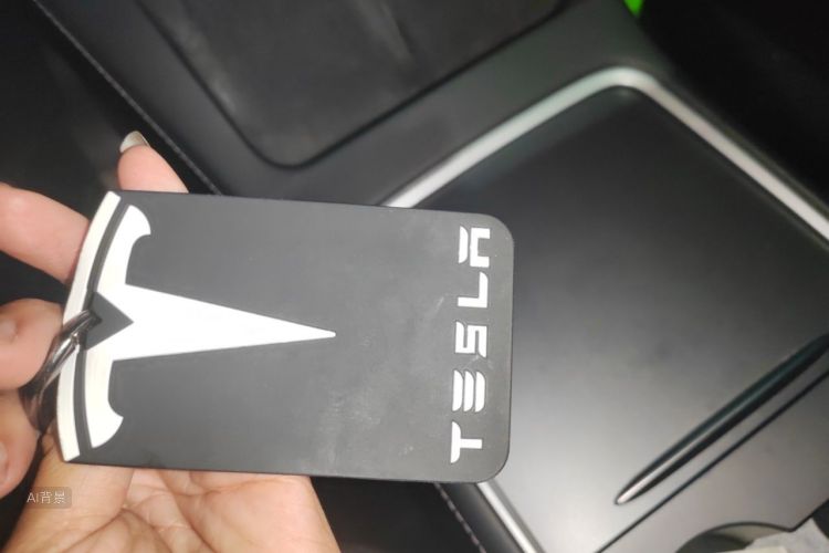 Tesla Model Y 2021 car image #10