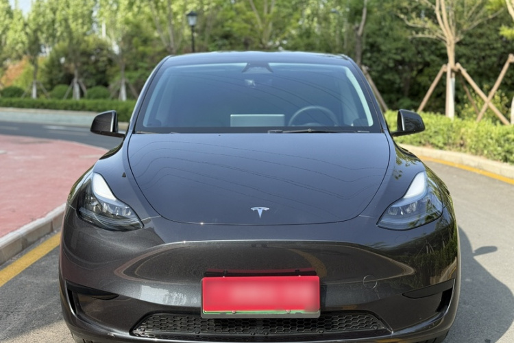 Tesla Model Y 2025 car image #8
