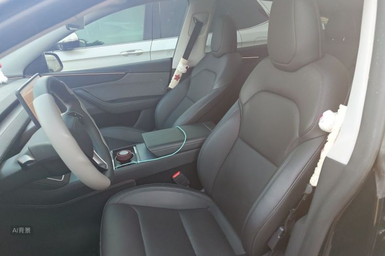 Tesla Model Y 2025 car image #17