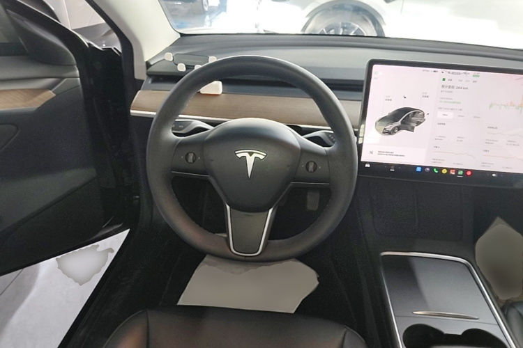 Tesla Model 3 2021 #11 Tesla Model 3 2021 car image #11