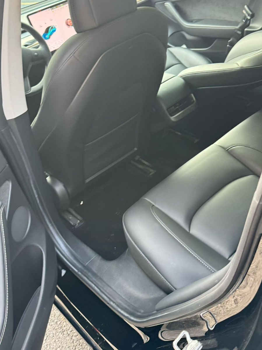 Tesla Model 3 2021 #6 Tesla Model 3 2021 car image #6