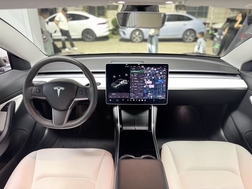 Tesla Model 3 2020 car image #6