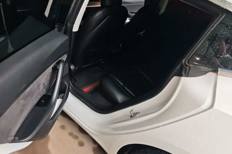 Tesla Model 3 2020 #19 Tesla Model 3 2020 car image #19