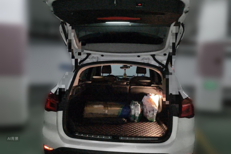 BMW X1 2019 car image #21