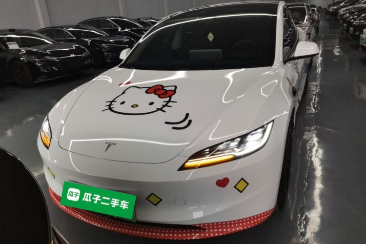 Tesla Model 3 2024 car image #3