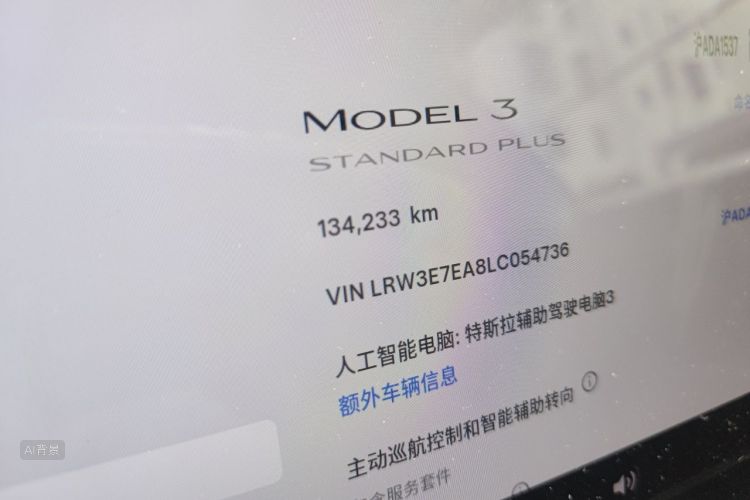 Tesla Model 3 2020 car image #14