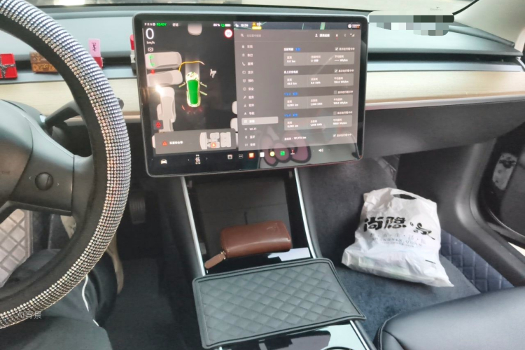 Tesla Model 3 2020 car image #15
