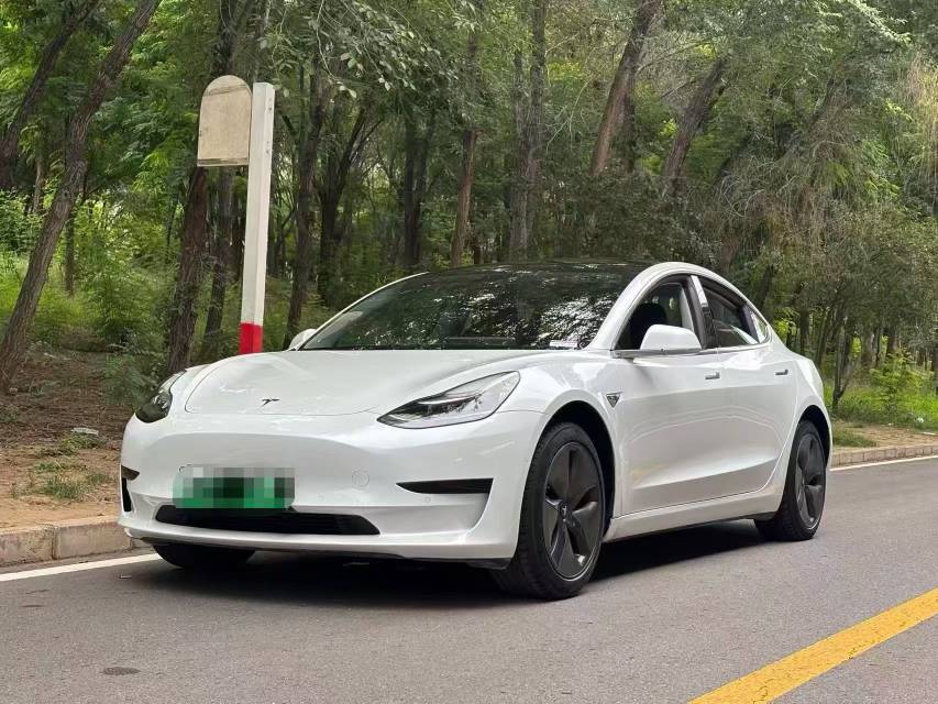Tesla Model 3 2020 Tesla Model 3 2020 car image